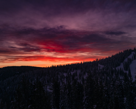 Activities to do on an Jungle